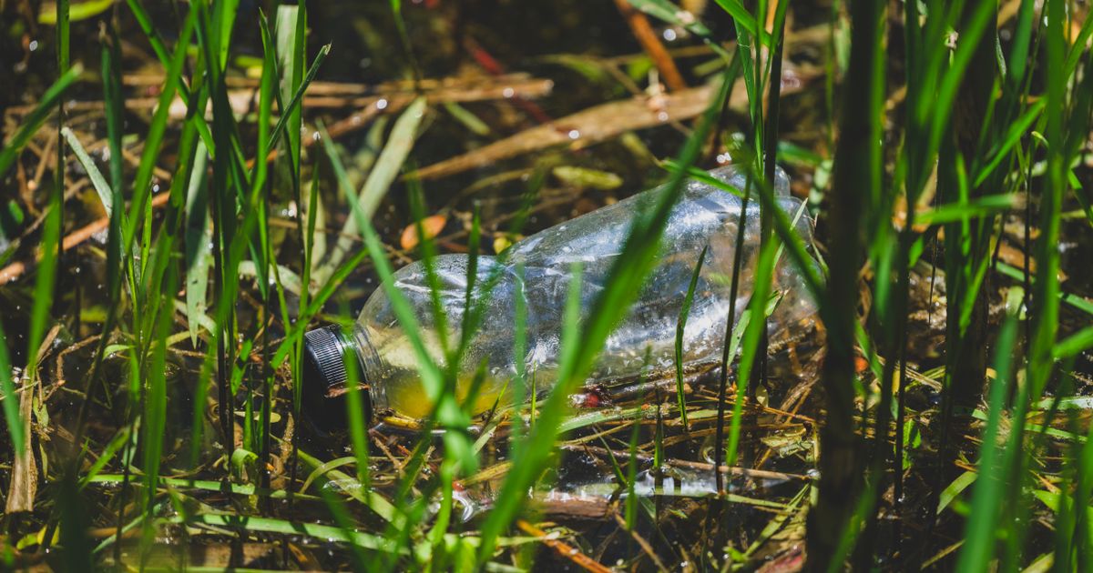 Best Biodegradable Degreasers 2026: Top 5 Ranked & Compared