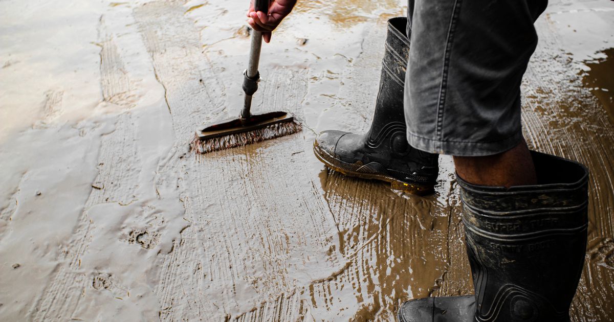 Best Concrete Degreaser 2026: Top 5 Ranked & Tested